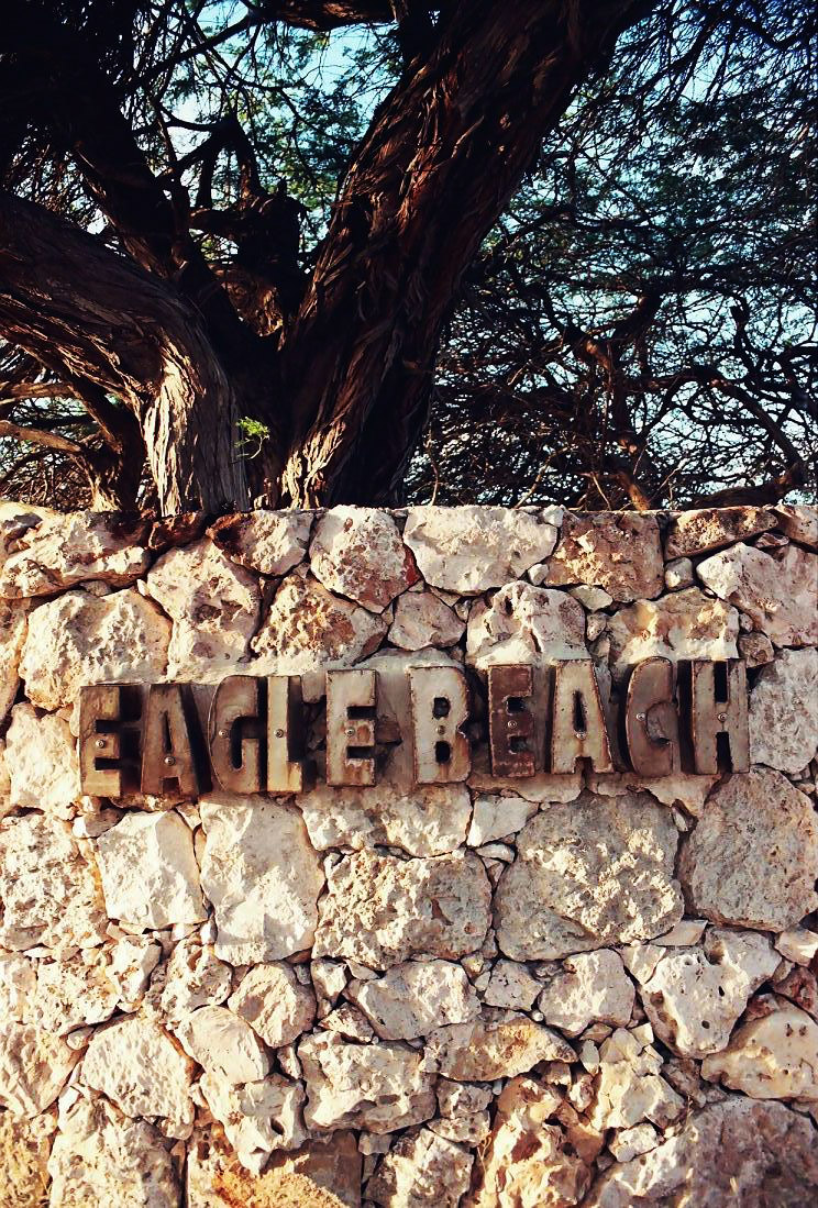 Eagle Beach Aruba