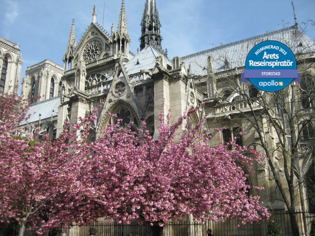 mot-varen-i-paris-france-travelgrip