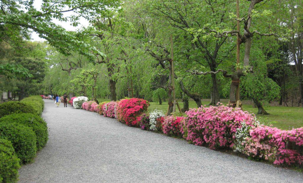 Färgglad park i Kyoto