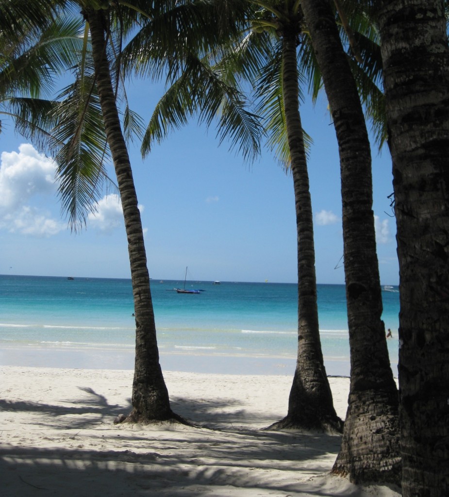 Palmer på ön Boracay i Filippinerna