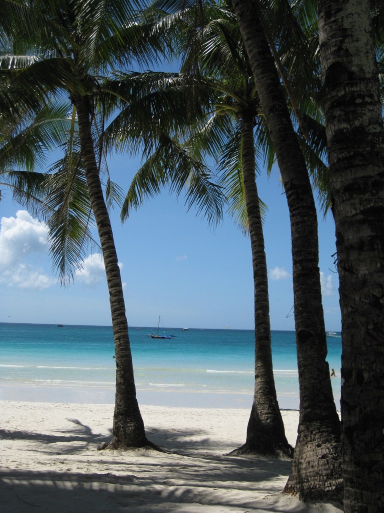 travelgrip-boracay- palmtrees