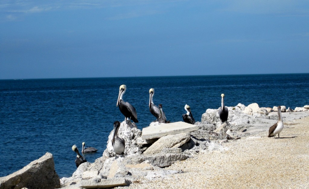 keys-florida-usa-travelgrip- (1)