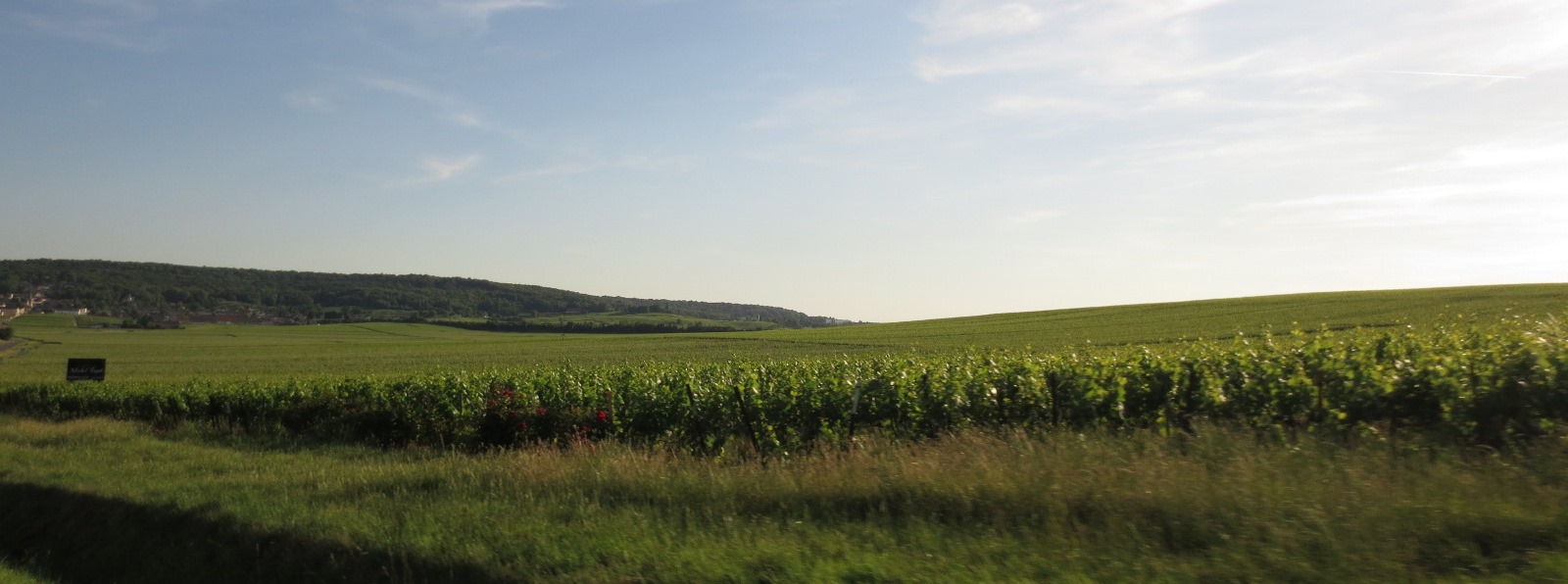 Champagneregionen 