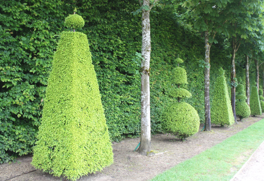 Slottsträdgården i Versailles i Frankrike