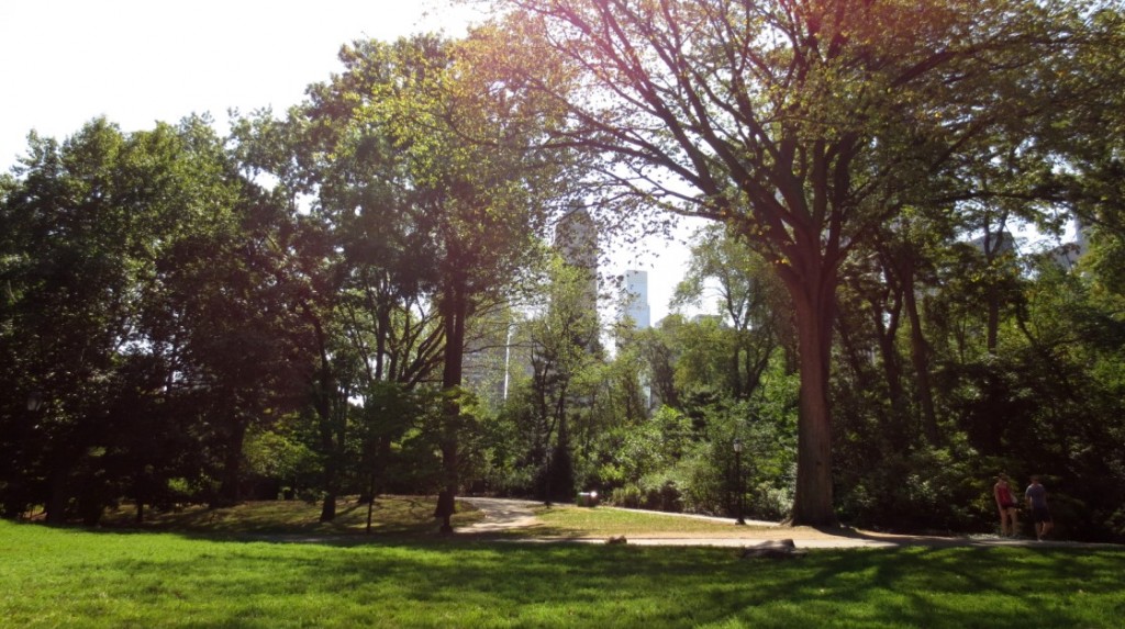 Central-Park-manhattan-nyc-travelgrip- (1)