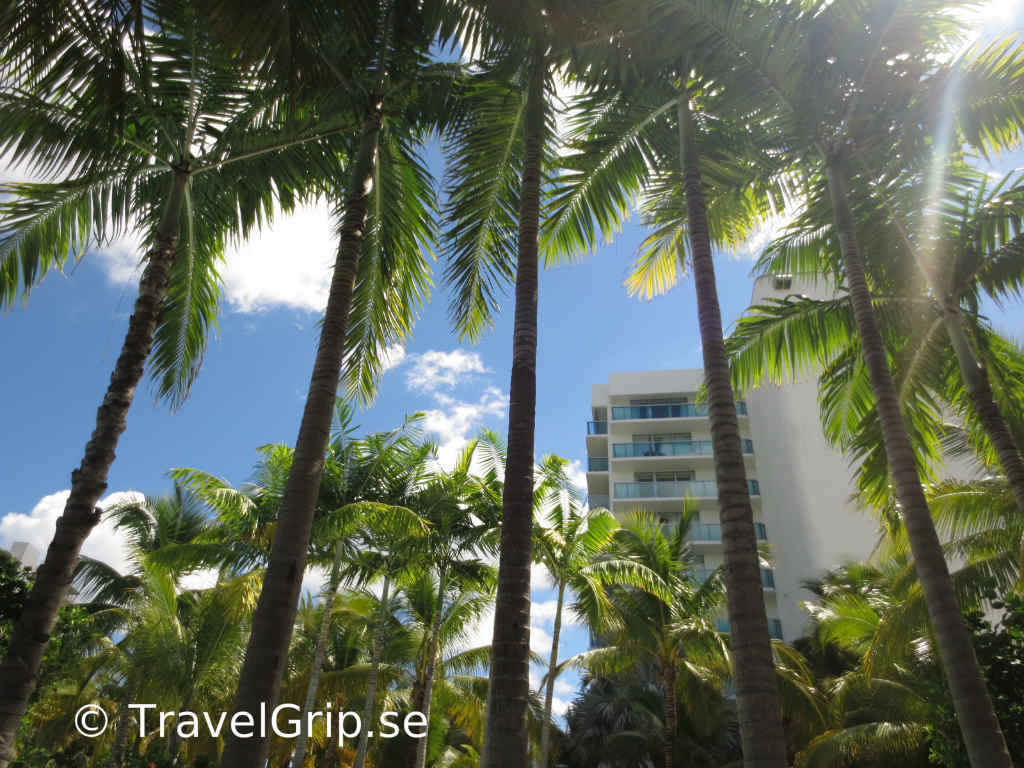 Fort-Lauderdale-i-Florida-TravelGrip