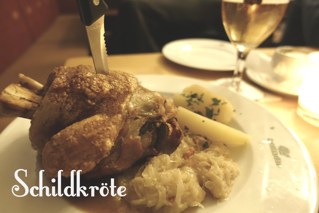 Schildkröte-schweineshaxe-fläsklägg-TravelGrip