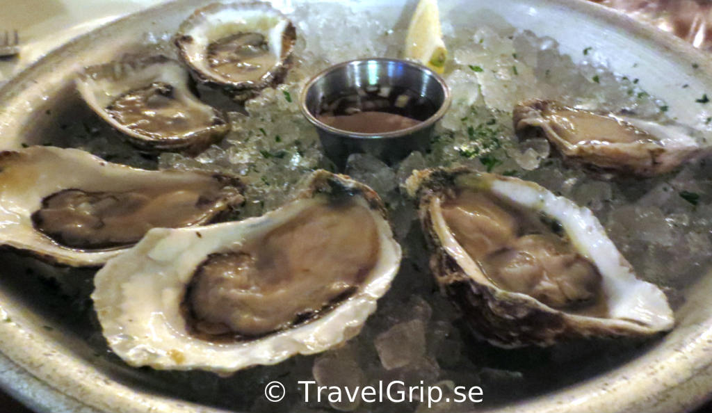 ostron-GB-Oyster-Bar-Florida-TravelGrip