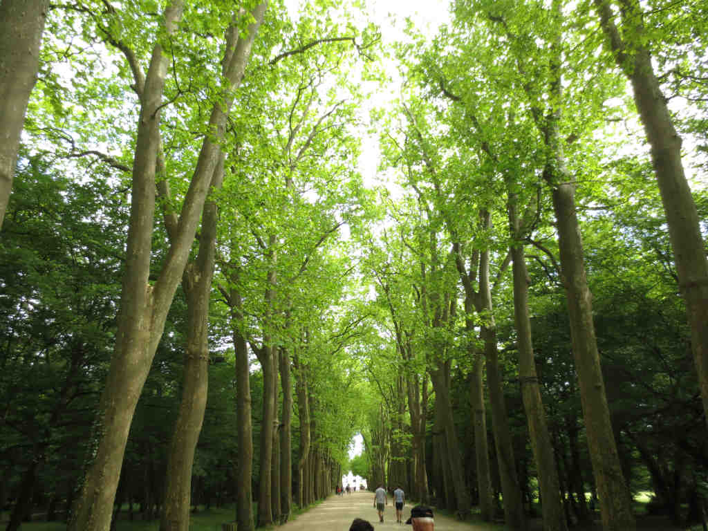 Chenonceau i Loiredalen