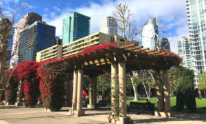 los angeles park