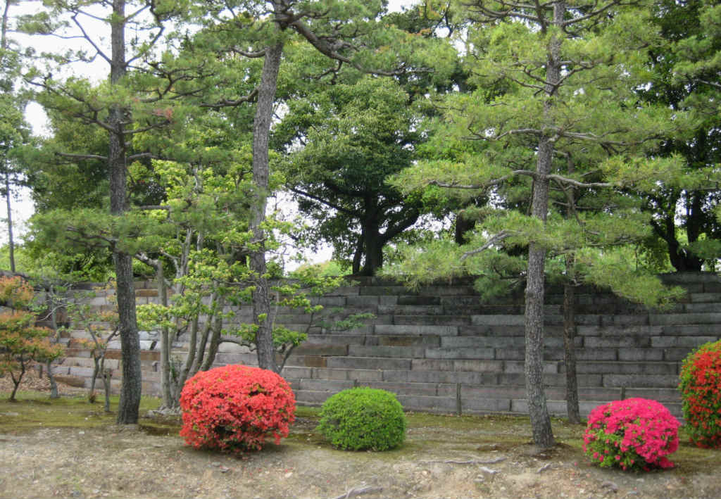 Vacker grönska i Kyoto