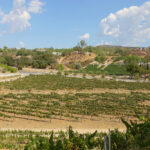 vinregion temecula kalifornien