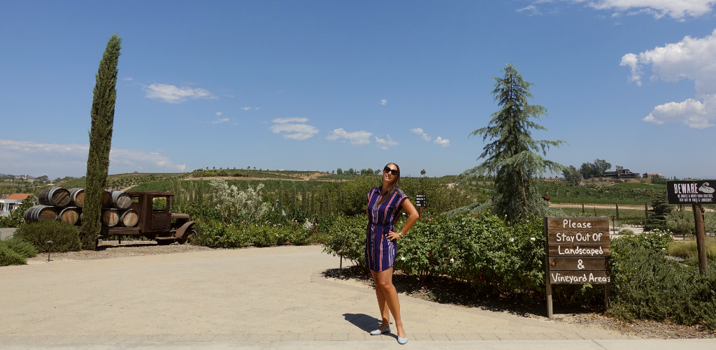 vingård temecula valley kalifornien