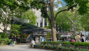 shake shack i madison square park