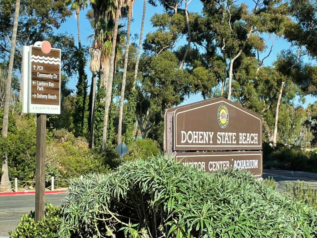 doheny state beach i kalifornien